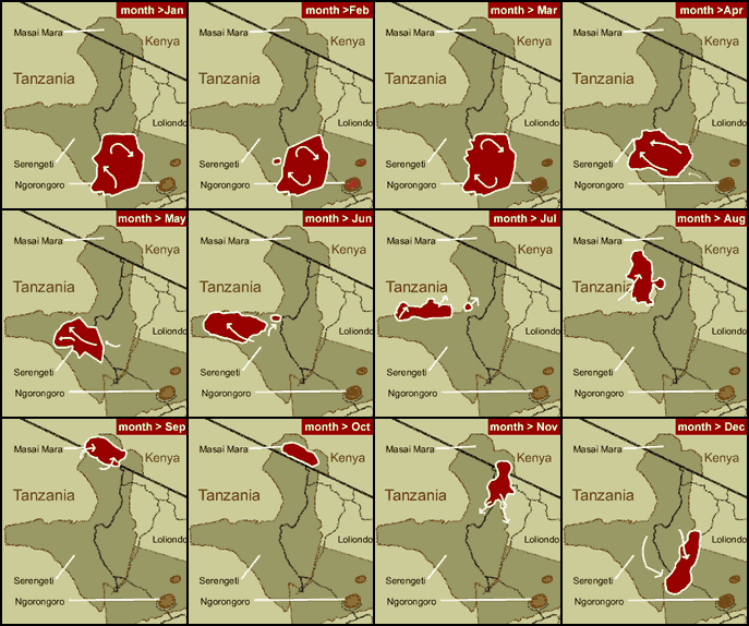 Wildebeest migration in the Serengeti